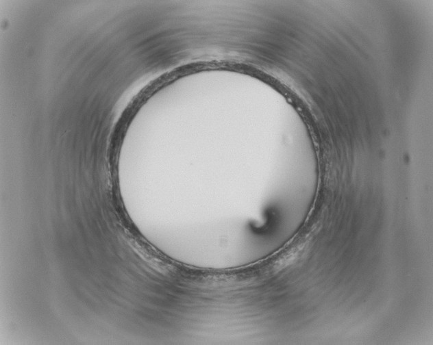 X0000070340927200607072009