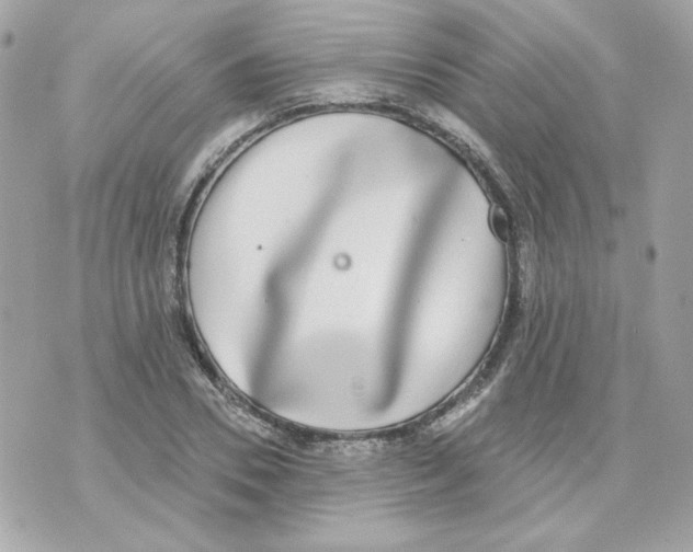 X0000070340930200607072009