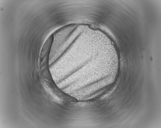 X0000070340932200607072009