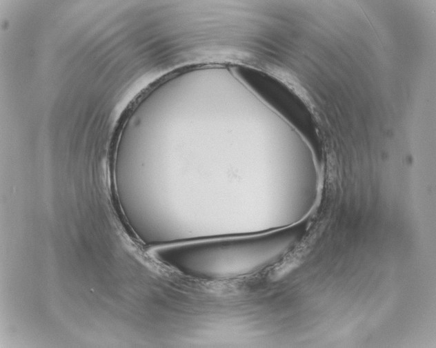 X0000070340936200607072009