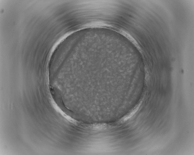 X0000070340939200607072009