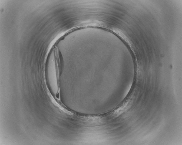 X0000070340941200607072009