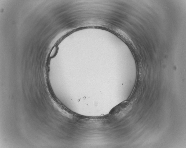 X0000070340942200607072009