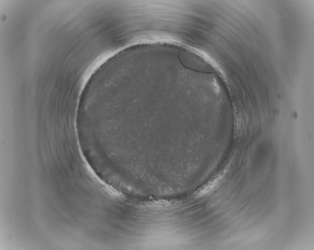 X0000070340943200607072009