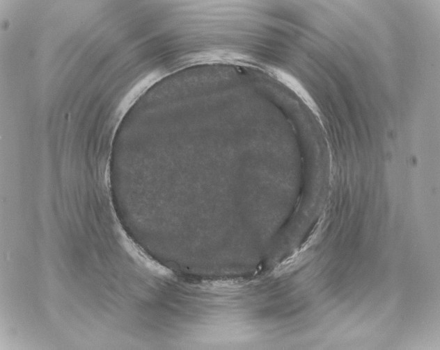 X0000070340946200607072009