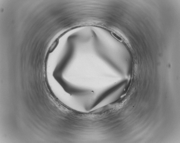 X0000070340948200607072009