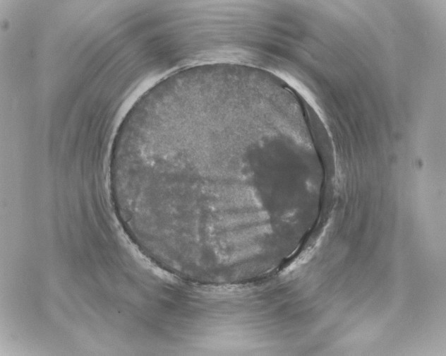 X0000070340949200607072009