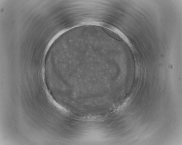 X0000070340955200607072009