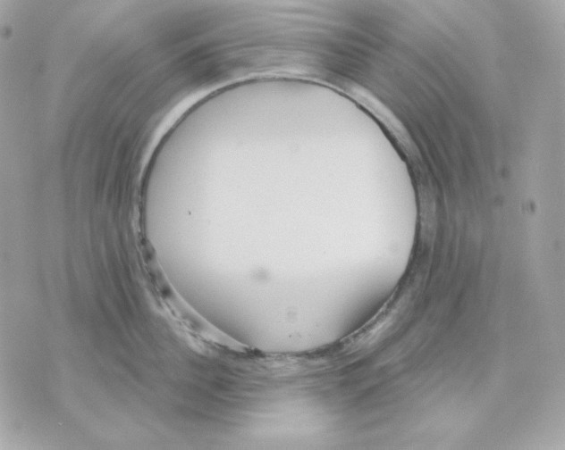 X0000070340956200607072009