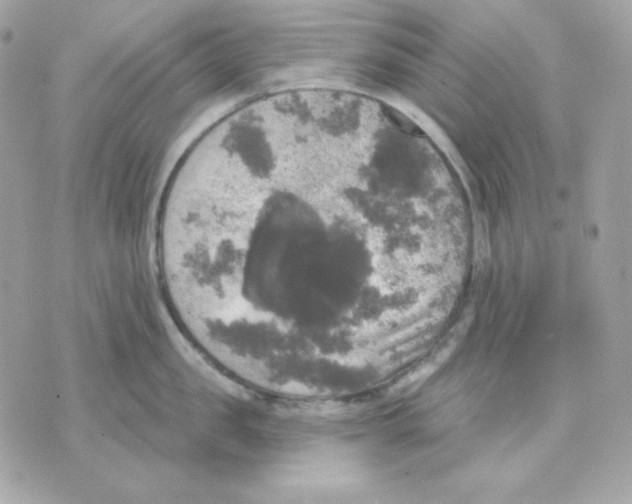 X0000070340957200607072009