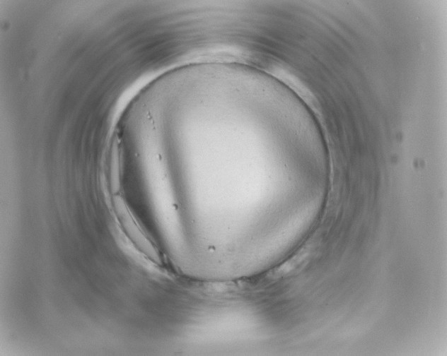 X0000070340960200607072010