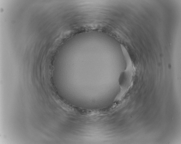 X0000070340961200607072009