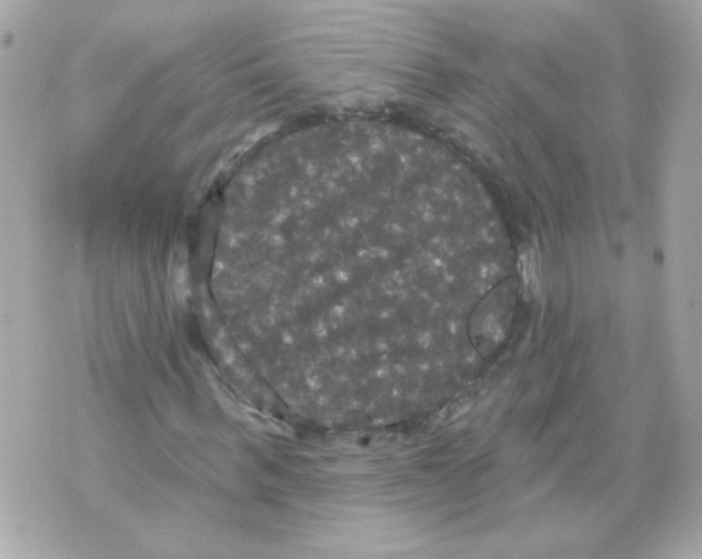 X0000070340963200607072009