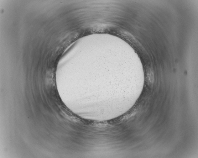 X0000070340964200607072009