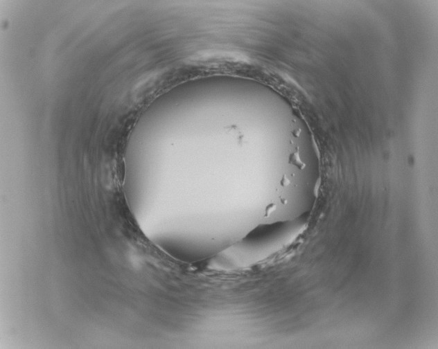 X0000070340965200607072009