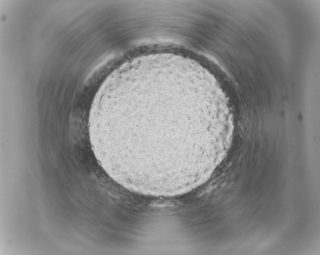 X0000070340967200607072009