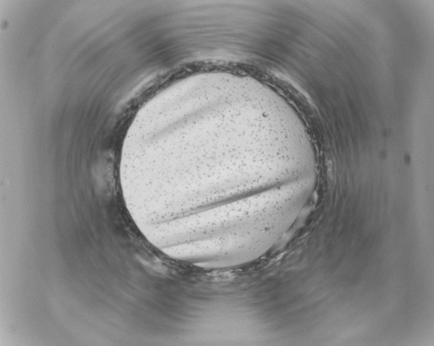 X0000070340968200607072009