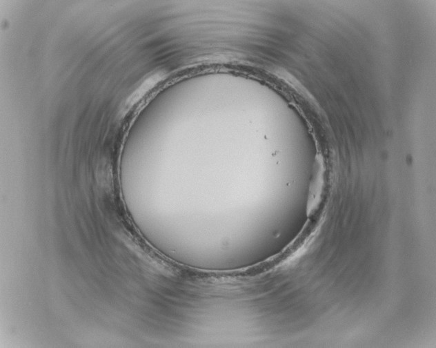 X0000070340969200607072009