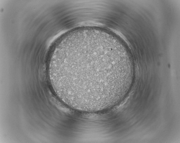 X0000070340971200607072009