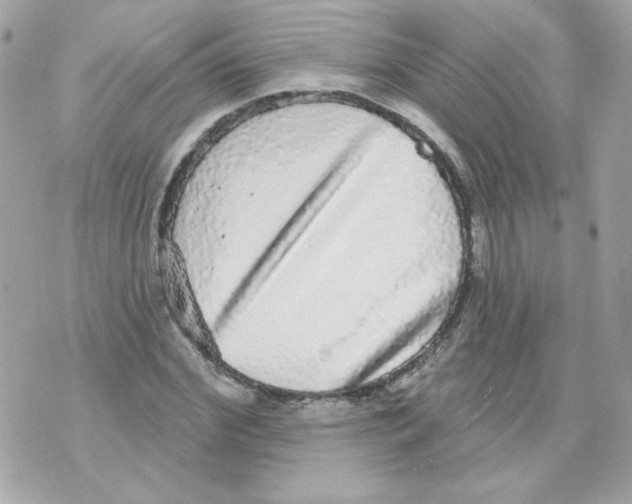 X0000070340972200607072009