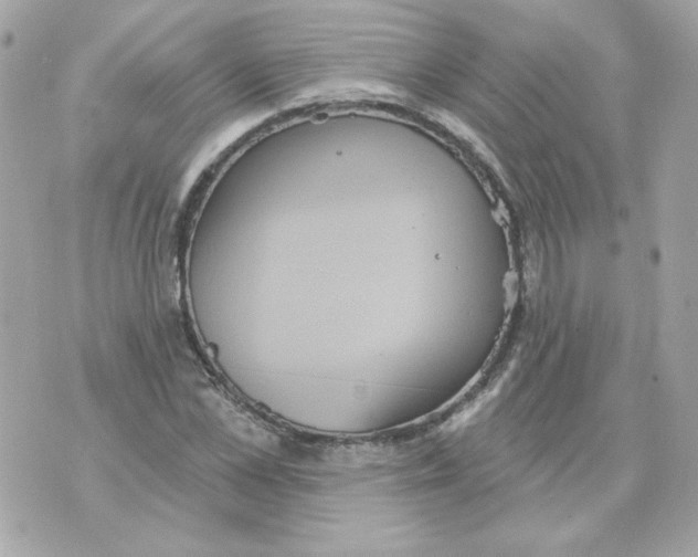 X0000070340973200607072009