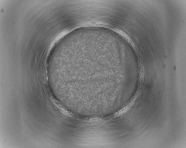 X0000070340974200607072009