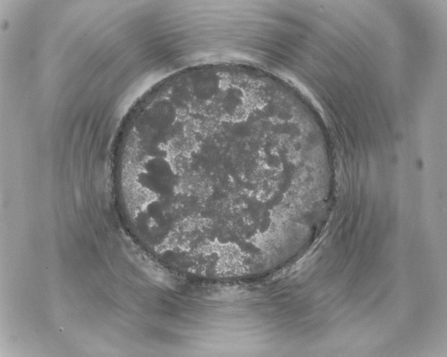 X0000070340975200607072008