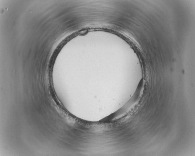 X0000070340976200607072008