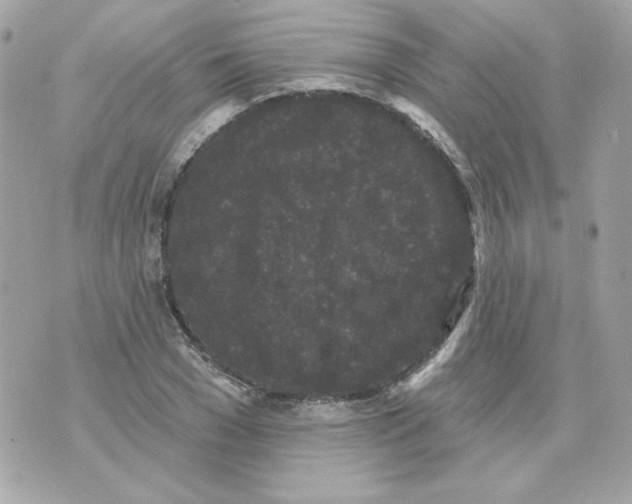 X0000070340977200607072008