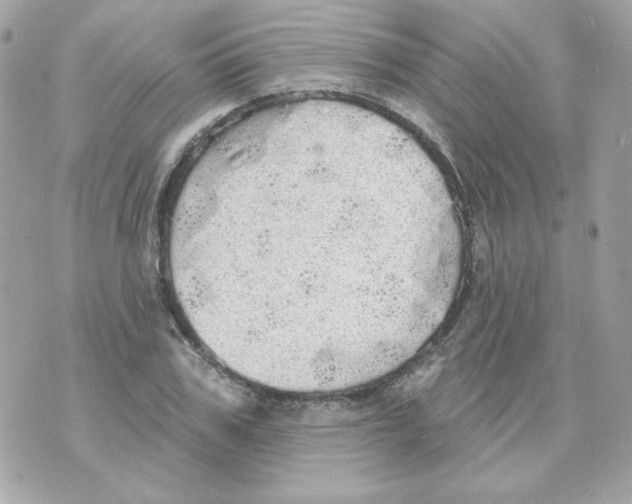 X0000070340979200607072008