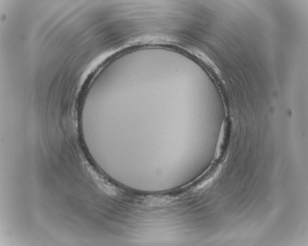 X0000070340981200607072008