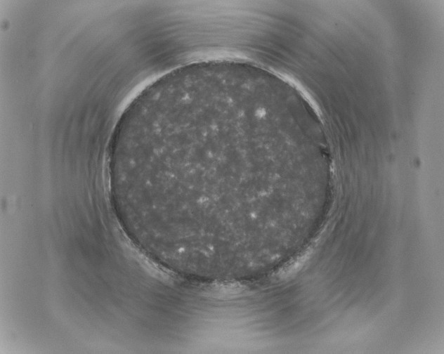 X0000070340983200607072008