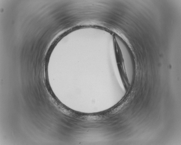 X0000070340984200607072008