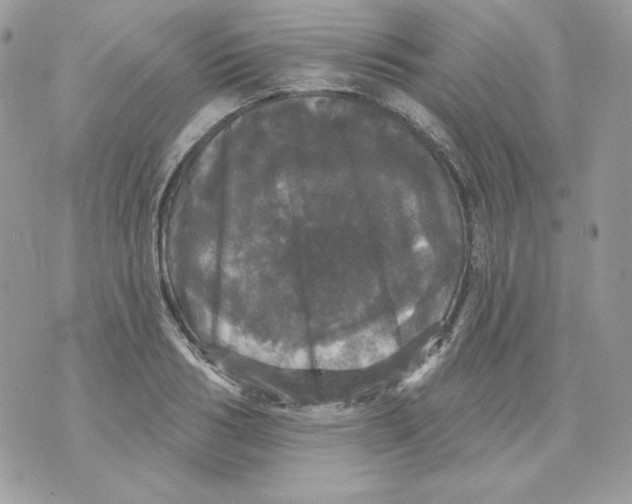 X0000070340986200607072008