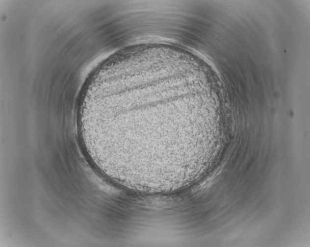 X0000070340987200607072008