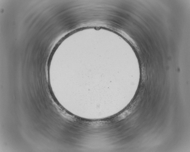 X0000070340988200607072008