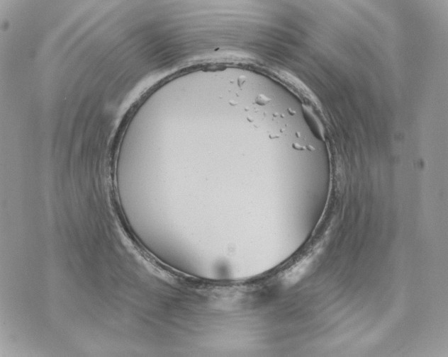 X0000070340989200607072008