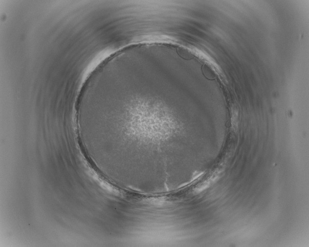 X0000070340990200607072008