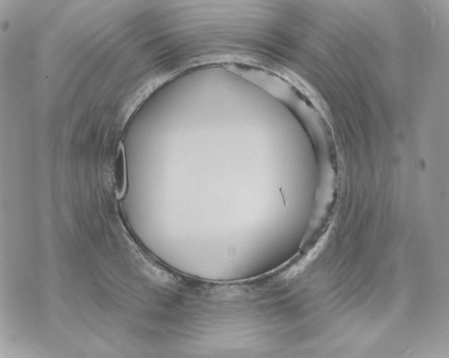 X0000070340993200607072008