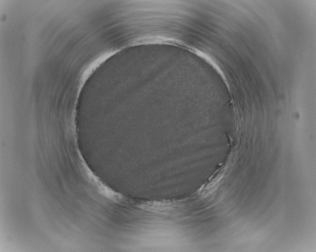 X0000070340995200607072008