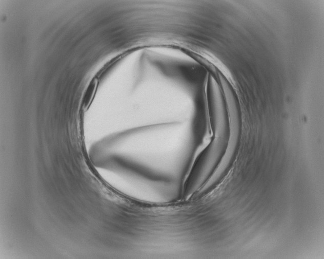 X0000070340996200607072008