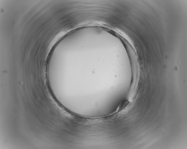 X0000070340997200607072008