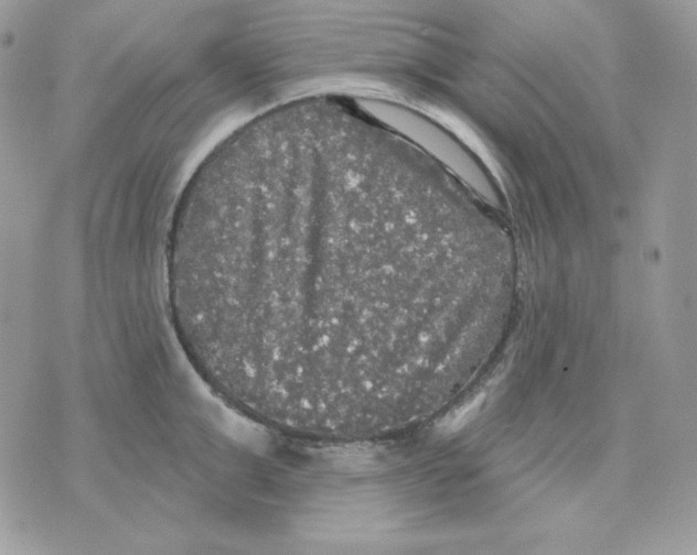 X0000070340999200607072008