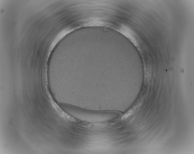 X0000070341000200607072008