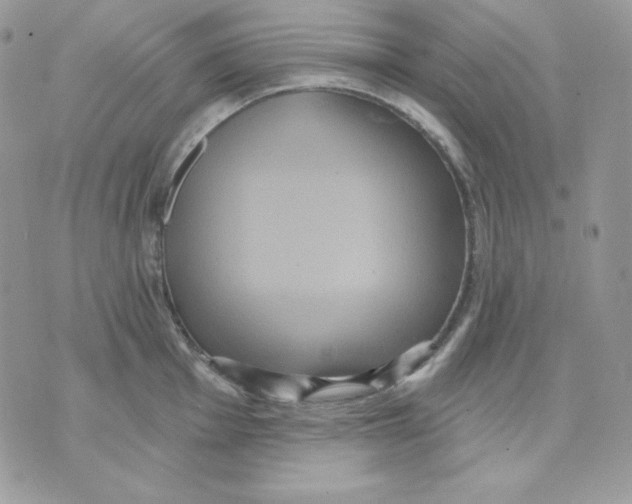 X0000070341001200607072008