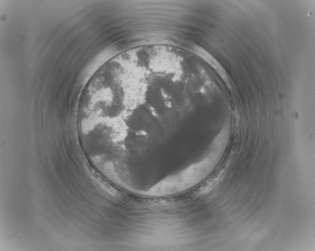 X0000070341002200607072008