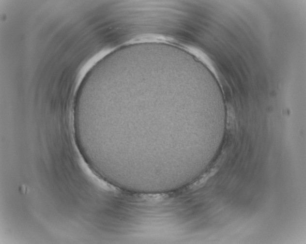 X0000070341003200607072008