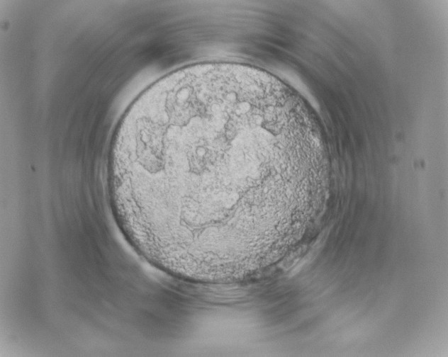 X0000070341007200607072008