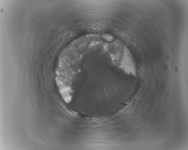 X0000070341009200607072007