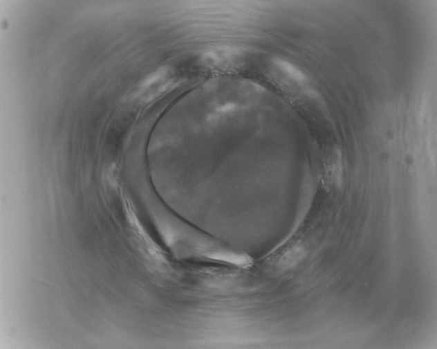 X0000070341010200607072007